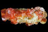 Red Vanadinite Crystal Cluster - Morocco #76523-1